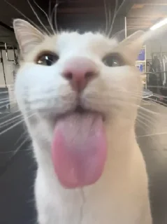 😛