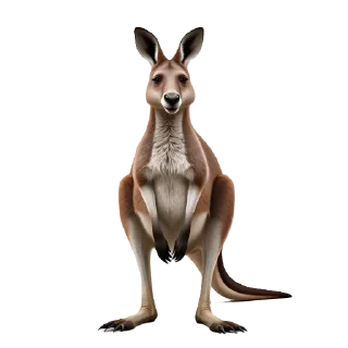 🦘