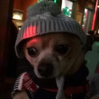 😶