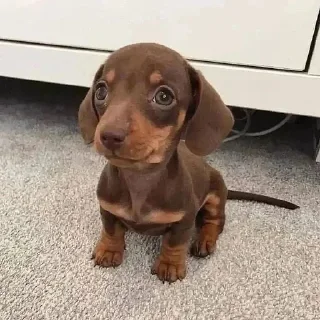 🙂