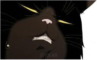 😾