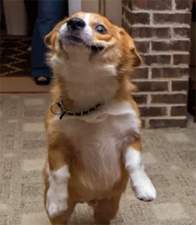 🙂