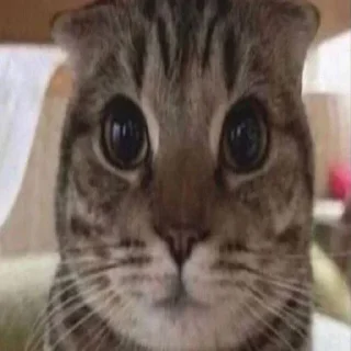 😳