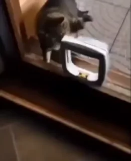 👊