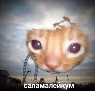 😺