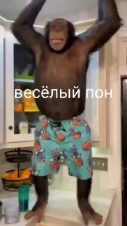 🌟