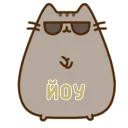😎