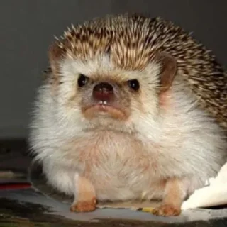 😠