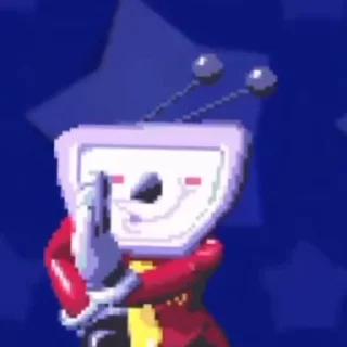 🌟