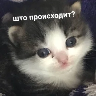 😢