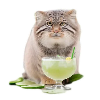 🍹