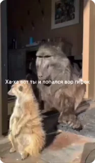 🌟