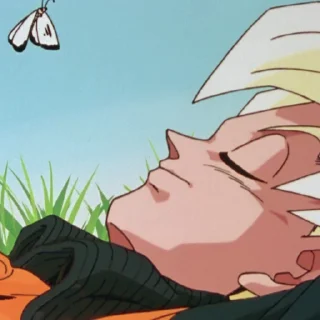 😴