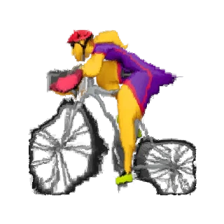 🚴‍♀️