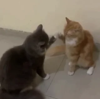 🤝
