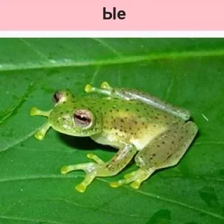 😜