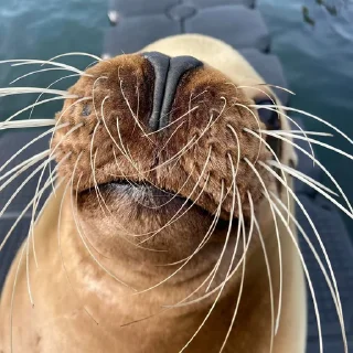 🙂