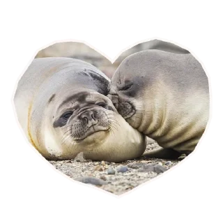 😍