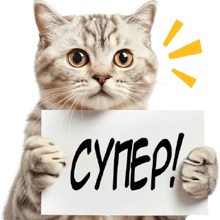 👍