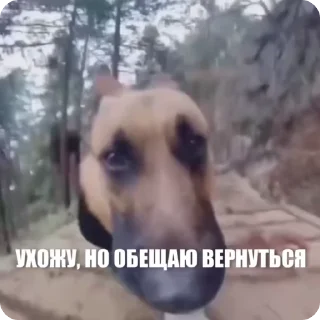 👍