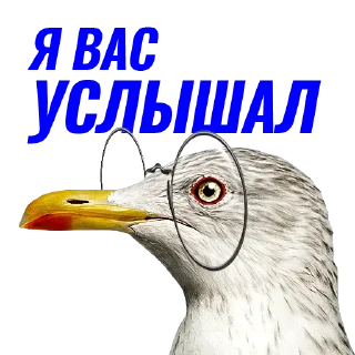 📡
