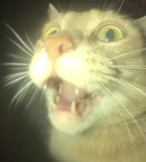 🤯