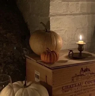 🍂