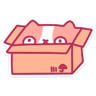 🐱