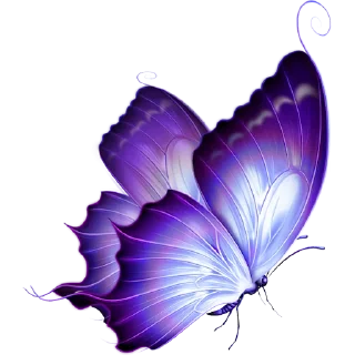 🦋