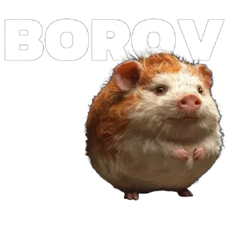 🐹