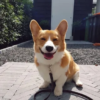 😝