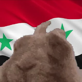 🇸🇾