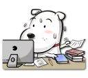 🐶