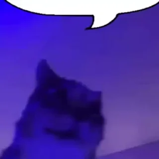 💬