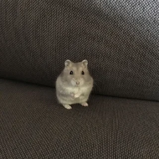 ❣️