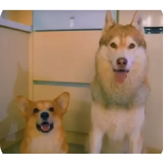 👍