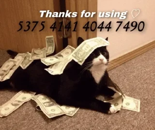 💸