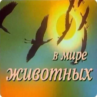 🦅