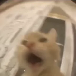 🦷