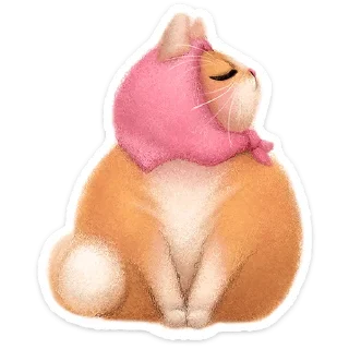 🐱