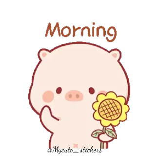 🌻