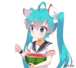 🍉