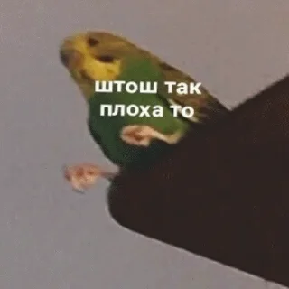 😞