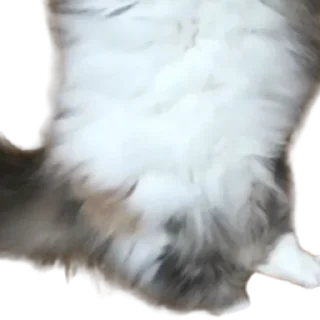 😺