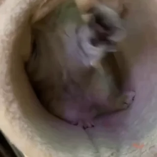 😡