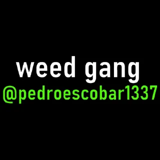 🌿