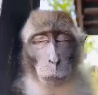 😏