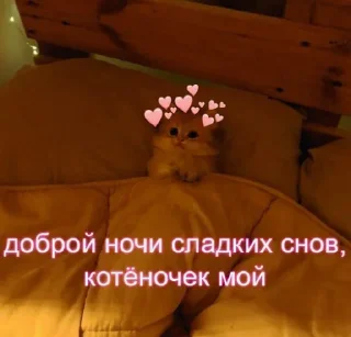 💤