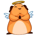 😇