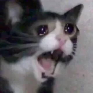 😄